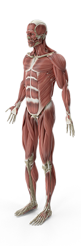 Provision Health Corp